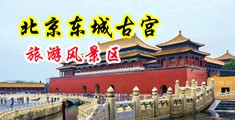 操美女屁眼视频免费中国北京-东城古宫旅游风景区